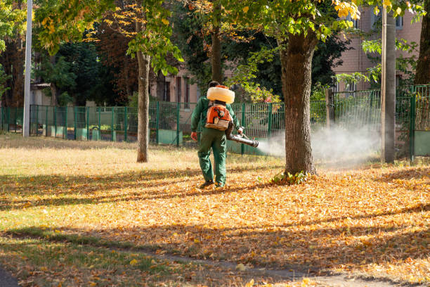 Best Insect Control  in Huntington Beach, CA