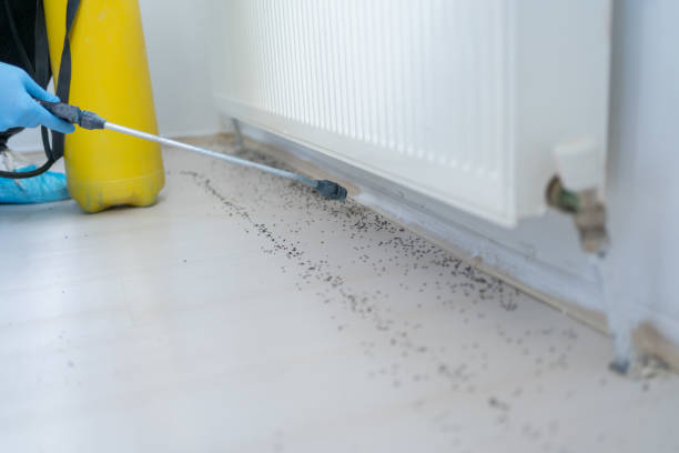 Best Wildlife Control Services  in Huntington Beach, CA