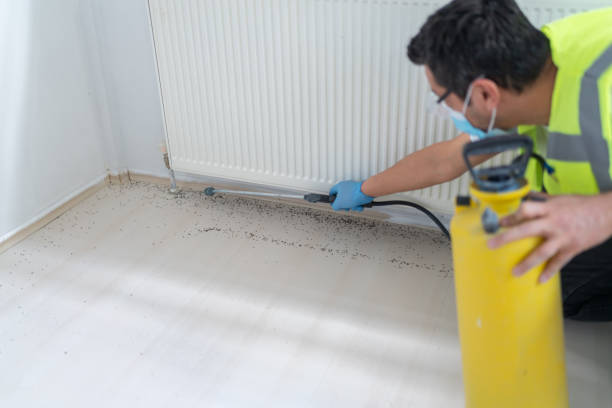 Best Local Pest Control Services  in Huntington Beach, CA